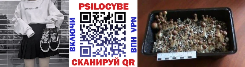 Псилоцибиновые грибы Cubensis  кракен ССЫЛКА  Чухлома 